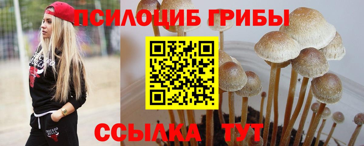 Псилоцибиновые грибы мицелий Кубинка