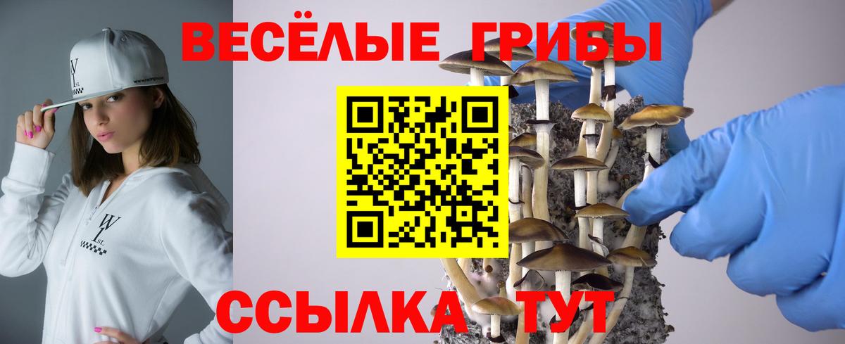 Кубинка  Галлюциногенные грибы GOLDEN TEACHER  Галлюциногенные грибы прущие грибы  Вход с VPN 